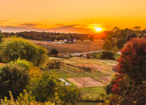 BESN's Annual Environmental Forum