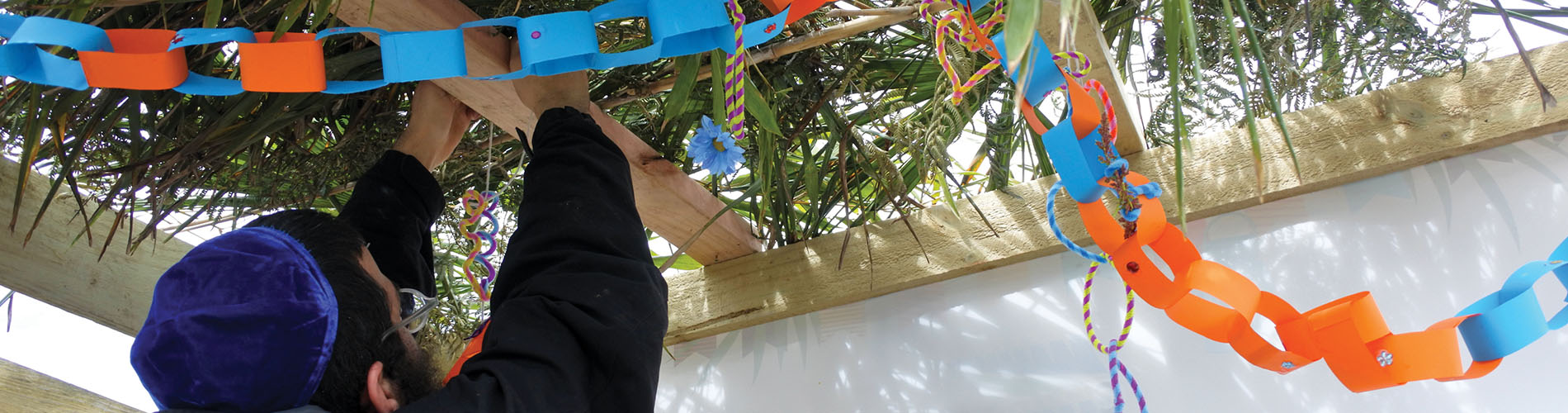 Man decorating sukkah for Sukkot