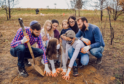 tree planting