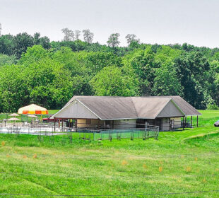 Landscape shot of Pearlstone's pool and recreation space