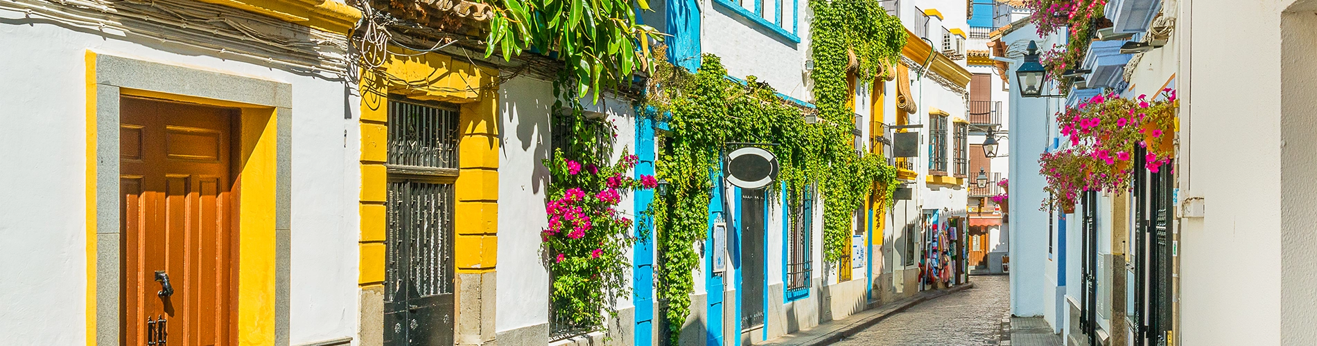 beautiful street in Spain