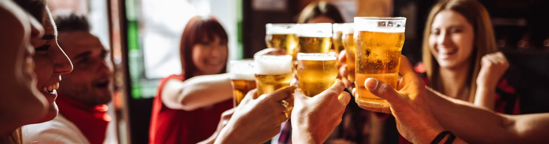 Young adults toasting