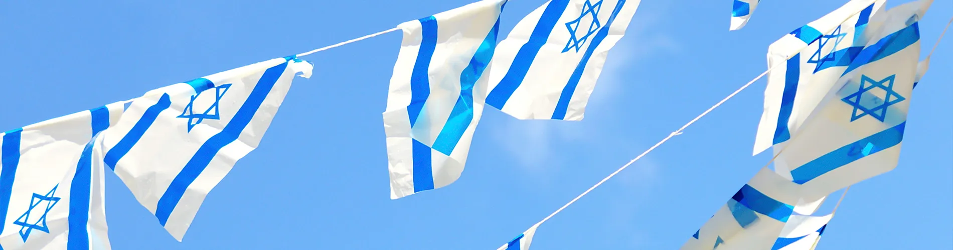 Israeli flags