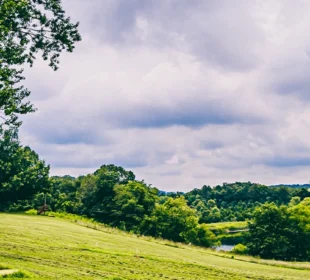 Hills and trees at Pearlstone