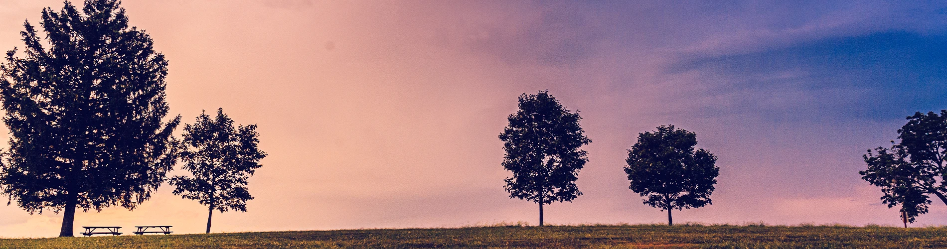 Pearlstone nature at sunset