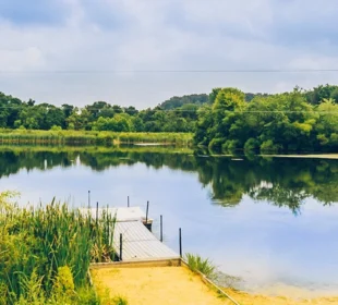Pond and trees at Pearlstone