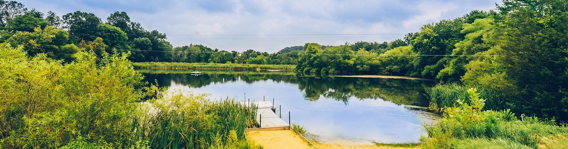 Pond and trees at Pearlstone