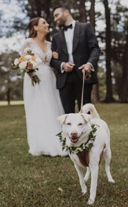 Rachel Greenwald with her husband and dog