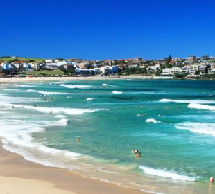 Bondi Beach