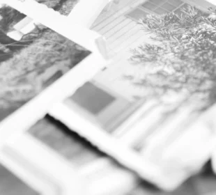 collage of vintage photographs