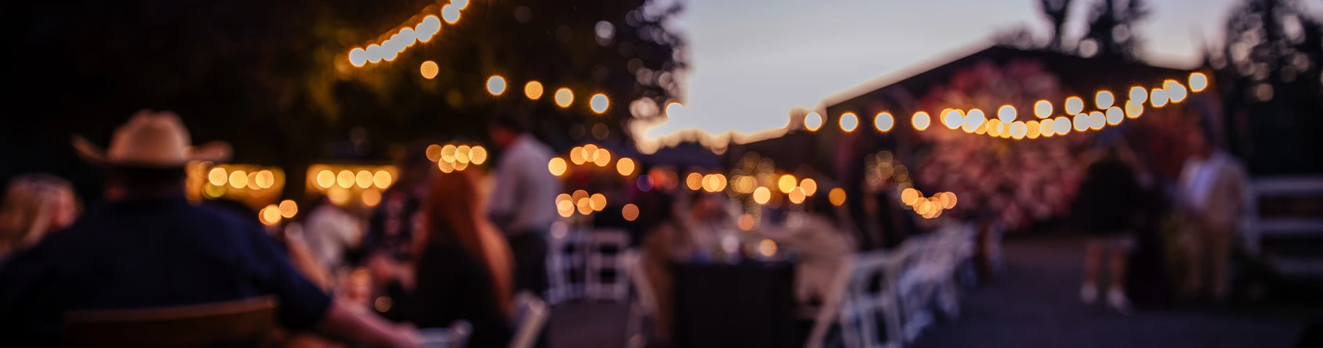 Outdoor event under the stars