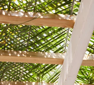 sukkah roof