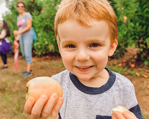 young boy holding an apple